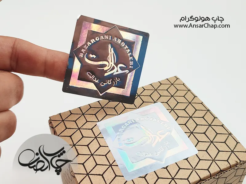 هلوگرام دو بعدی 