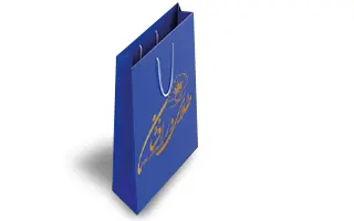 ساک دستی 19 در 33